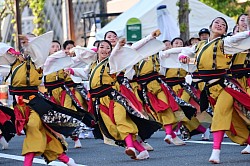 ダンスチーム凛。結成20年以上の若者中心のチーム。